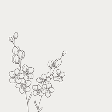 With this image we start: Forget Me Not Illustration The Language Of Flowers Bea Bloom Creative Design Studio Flower Drawing Forget Me Nots Flowers Forget Me Not Tattoo