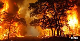 Jul 28, 2021 · antalya'nın manavgat ilçesinde çıkan ve şu ana kadar 53 kişinin dumandan etkilendiği yangına kontrol altına alınmaya çalışılıyor. Yunanistan Daki Orman Yangini Buyuyor