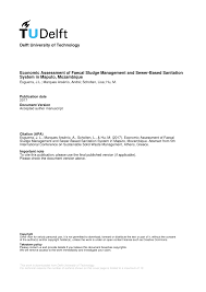 PDF) Economic Assessment of Faecal Sludge Management and Sewer-Based  Sanitation System in Maputo, Mozambique