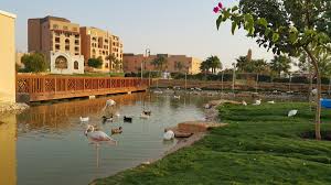 برج الفيصليّة هو واحدٌ من أبرز مباني مدينة الرياض، حيث يقع في شمال الرياض وتحديداً في حيّ العليا، وتبلغ مساحته ما يقارب 50 ألف مترٍ مربع، أمّا بالنسبة للمساحة الإجماليّة التي. Ù…Ù†ØªØ¬Ø¹ Ø§Ù„ÙÙŠØµÙ„ÙŠØ© Ø¯Ø±Ø© Ø§Ù„Ø±ÙŠØ§Ø¶ Ø±Ù‚Ù… Ø§Ù„Ù‡Ø§ØªÙ Ø§Ù„Ø¹Ù†ÙˆØ§Ù† Ø§Ù„ØµÙˆØ± ÙˆÙƒØ§ÙØ© Ø§Ù„ØªÙØ§ØµÙŠÙ„ Ù…Ø¯ÙŠÙ†Ø© Ø§Ù„Ø±ÙŠØ§Ø¶