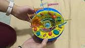 Colours ( poster or acrylic paint )6. 3d Animal Cell Model My Son Won First Place I Can T Believe It Simplekidscrafts Youtube