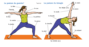 In this free french vocabulary lesson, i'll list over 130 french body terms with english translation, and then illustrate everything with a video featuring the sims! French Body Parts Quiz Whole Body Part 1 Diagram Quizlet