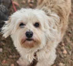 Tracy Garrity Productions, Inc.