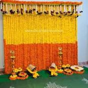 Bael fruit, amaltas, species of chrysanthemums, and species of marigold are alternate sources of yellow. 0 47