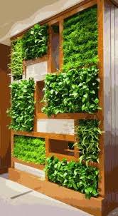 Vertical Garden Hyderabad Vertical Garden Indoor Vertical Garden Diy Vertical Garden Design