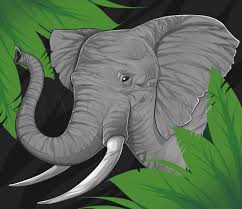 We did not find results for: How To Draw A Realistic Elephant Draw Real Elephant Step By Step Drawing Guide By Dawn Dragoart Com