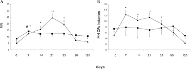 Time Course Of Mn Increase After Radioiodine Therapy In Lymphocytes Download Scientific Diagram