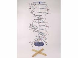 Tallquist Hemoglobin Scale Eduscience