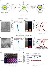 Maybe you would like to learn more about one of these? Labeling And In Vivo Visualization Of Transplanted Adipose Tissue Derived Stem Cells With Safe Cadmium Free Aqueous Zns Coating Of Zns Agins 2 Nanoparticles Scientific Reports