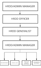 organization chart metropolitan medical center