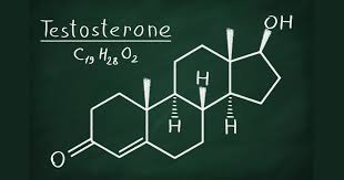 Join facebook to connect with testerone xl and others you may know. Sociodemographic Lifestyle Factors Influence Testosterone Levels In Middle Aged Men