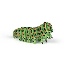 Check spelling or type a new query. Caterpillar Papo