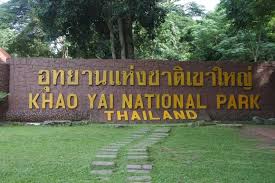Measuring 2,168 km squared, khao yai is the second largest national park in thailand. Nationalpark Khao Yai Privattransfer Optionale Wanderung Getyourguide
