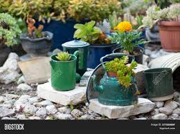 4.7 out of 5 stars. Reused Planter Ideas Image Photo Free Trial Bigstock