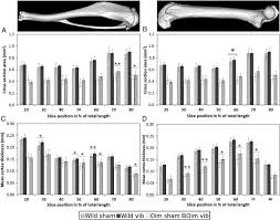 This is a cross section through decalcified bone. Cortical Bone Cross Section Area And Mean Thickness Mean And Standard Download Scientific Diagram