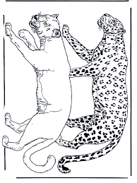 Baby Leopard Malvorlage Coloring And Malvorlagan