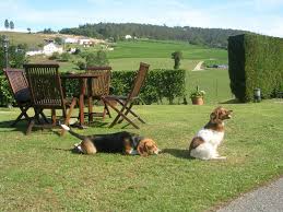 El estudio del hábitat rural requiere la consideración de dos aspectos principales, diferentes pero relacionados: Escapate A Una Casa Rural Con Tu Perro