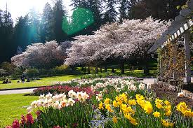 ãspring in vancouverãçåçæå°çµæ