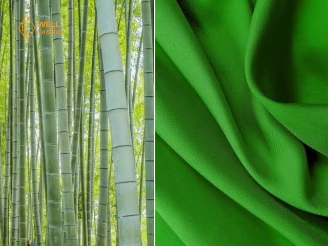 Bamboo into Fabric: Unveiling the Transformation Process