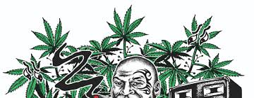 If you're the type of person that's really tense throughout life, it'll relax you weed helps me to tap into my true feelings and accept them, as opposed to thinking twice and reconsidering something that's a natural instinct. Mike Tyson S Weed Resort The Former Champ Smokes The Toad Gq