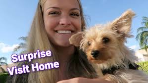 A Day In My Life.....with my sister's puppy