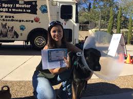 Maybe you would like to learn more about one of these? Banfield Foundation Boosts Incentive Program Of The Spay Neuter Action Project Snap San Diego