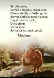 Cuneyt Ilknur Adli Kullanicinin Guzel Sozler Panosundaki Pin Pozitif Sozler Ilham Veren Sozler Guzel Soz