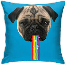 Sofa in 2 größen erhältlich. Not Applicable Dekokissenbezuge Mops Kotzen Regenbogen Snapchat Filter Dekorative Reissverschluss Schlafzimmer Gemutliche Kissenbezug Couch Anime Wohnraume Couch Kissen Nach Hause Kissenbezuge 45x Amazon De Kuche Haushalt