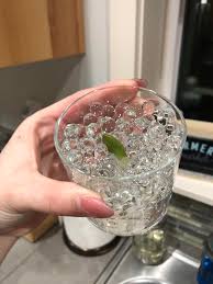 How to propagate succulents in soil and water. Can You Propagate A Succulent Leaf In Water Beads A Succulent I Loved Dearly Was Recently Murdered By A Irresponsible Pet Owner Who Let Their Puppy Roam Off Leash In My Yard