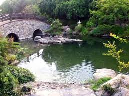 Pin On Japanese Garden In Woodward Park Fresno Ca