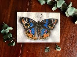 Buckeye Butterfly, Butterfly Lover, Insect Lover, Handmade Print, Wall  Decor, Blue Art, Collector, Taxidermy, Drawing, for Mom, Friend, Wife