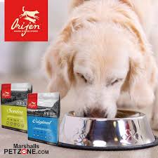 Orijen Dog Food Now Available Here Dog Food Online Orijen Dog Food Canned Dog Food