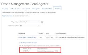 Oracle Management Cloud Common Rest Api