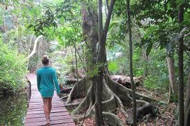 Sian ka'an is a biosphere reserve in the municipality of tulum in the mexican state of quintana roo. Tour Zu Den Ausgrabungsstatten Sian Ka An Und Muyil Ab Tulum 2021 Tiefpreisgarantie