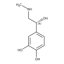 Image result for Epinephrine