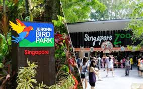 It is also the largest bird park in the world, featuring 8,000 birds of more than 600 species. Book Jurong Bird Park Tickets Updated 2020 Up To 20 Off Headout