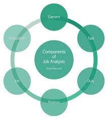 Job Analysis Definition Importance Components Methods Purpose Process