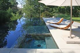 Disappearing Pool Pool Modern With Hardscape Designer Infinity Pool Hot Tub Swimming Pools Backyard Pool Drawing Backyard Pool