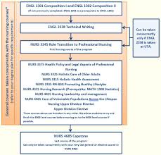 Rn Bsn Program Flowchart Bsn Programs Health Innovation Program Flowchart