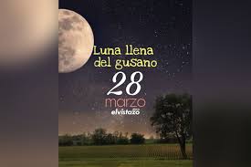 El mes lunar (es decir, el. D78hrfrsaxrqnm