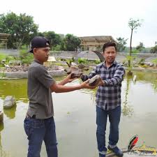 Taman agrowisata tubaba dibangun dengan konsep untuk wisata agro, selain itu juga dapat dimanfaatkan sebagai tempat penelitian budidaya tanaman buah unggul. Taman Wisata Kura Kura Di Tubaba Mendapat Support Pena Lampungnews