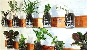 Un mini huerto de plantas aromáticas en la ventana, terraza o jardín nos permitirá autoabastecernos de aromas frescos en cualquier momento. Mini Jardin Interior De Hierbas Aromaticas Para Cocinar
