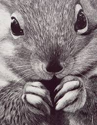 Pin On Drawing Scratchboard