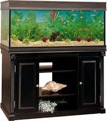 Resultado De Imagen De 55 Gallon Fish Stand Plans Aquarium Stand Aquarium Stands Aquarium