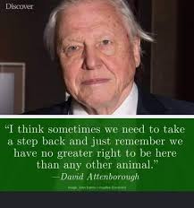 Please consider wildlife in your garden, with 50 percent our planet used  for humans, gardens are so important for the remindering wildlife. What is  everyone top tips for helping wildlife?