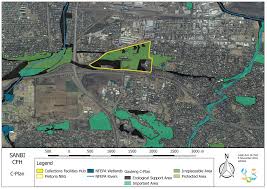 Image result for Dichilus bainesii