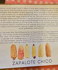 Nando Jaramillo of local @moonandstarsvt did a fun and delicious demo at  the Co-op