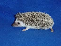 Pin On Food For My Soul