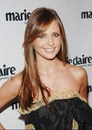 Couleur Blond Caramel Dore Cheveux De Sarah Michelle Gellar Sarah Michelle Gellar Buffy Brown Hair With Blonde Highlights