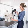Mobile pet grooming experts dubai. 1
